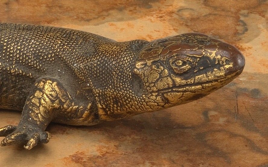 A close-up of the lizard's face.