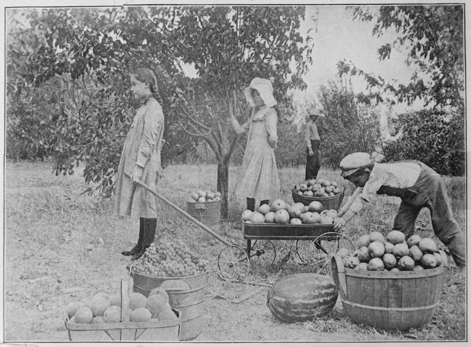 Photographs Accompanying Reports to the Secretary of the Interior, 1887–1930