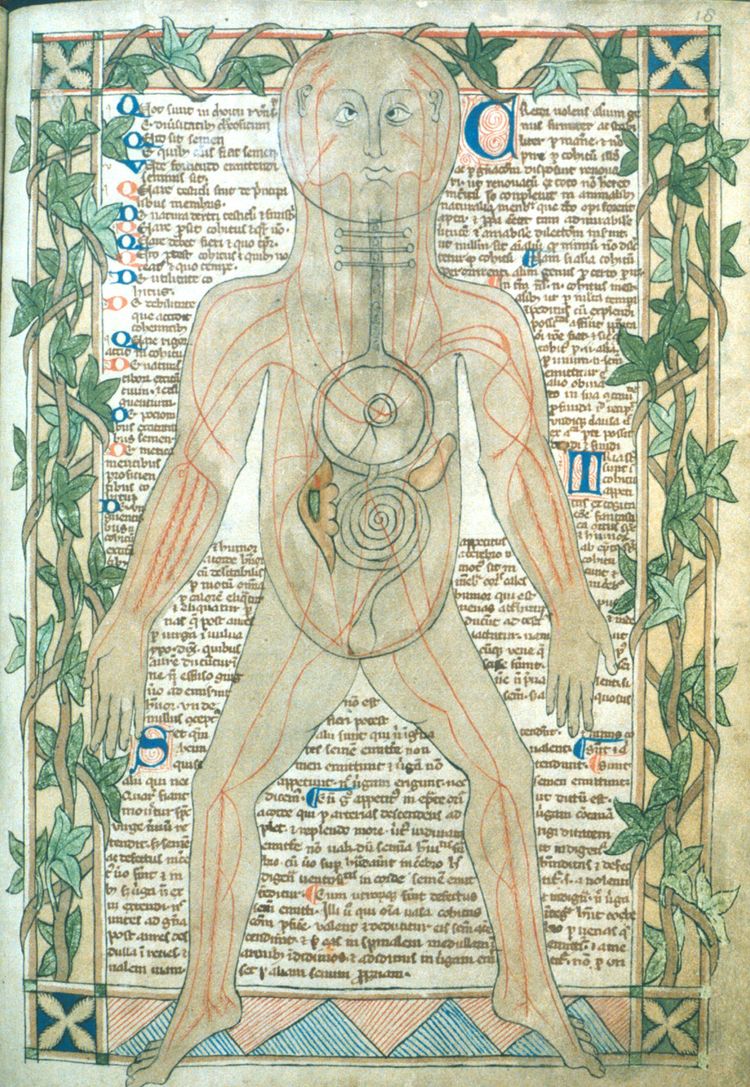 Two Monks Invent Anatomy