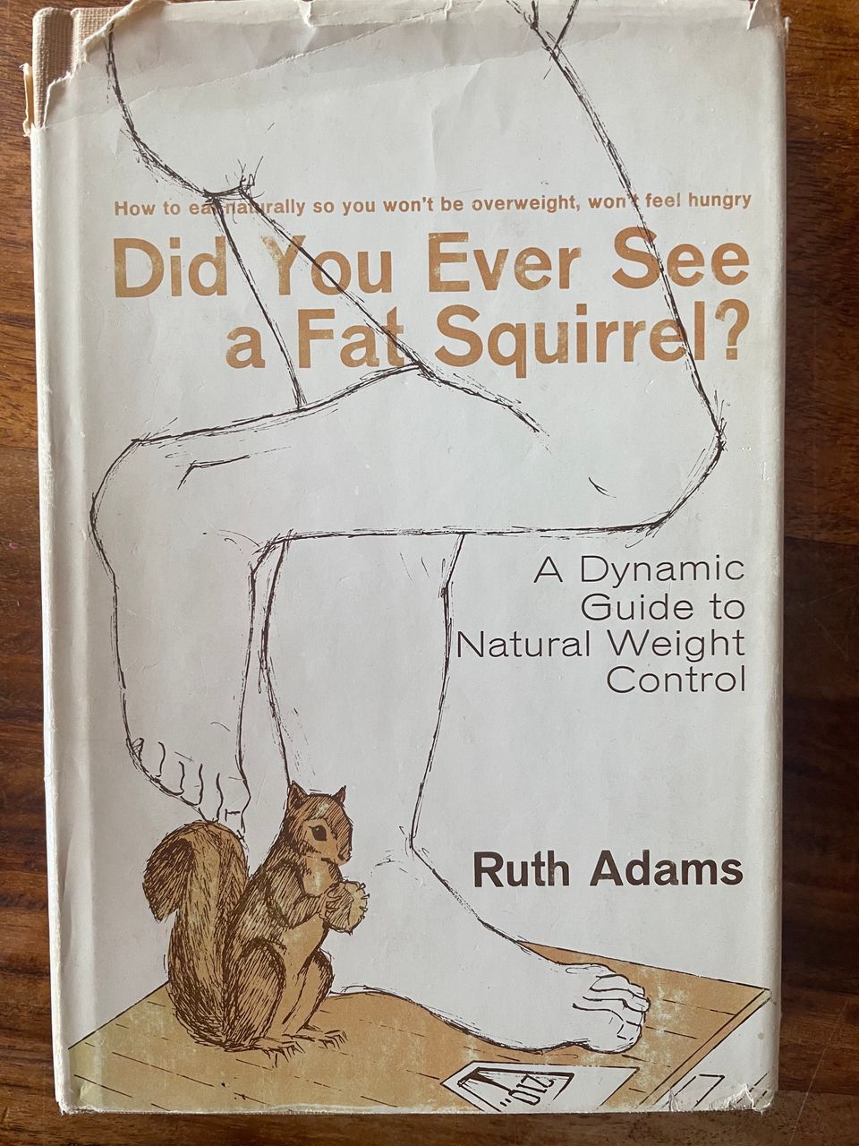 "Did You Ever See A Fat Squirrel?" yes all the time
